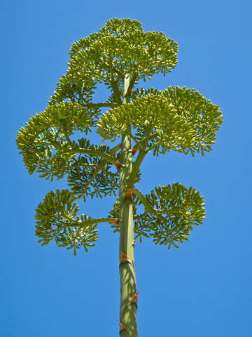 Eleuthera 2