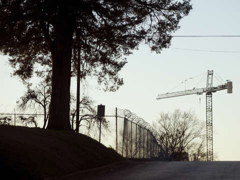 Tree crane