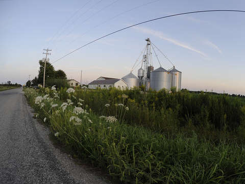Bay City Farm