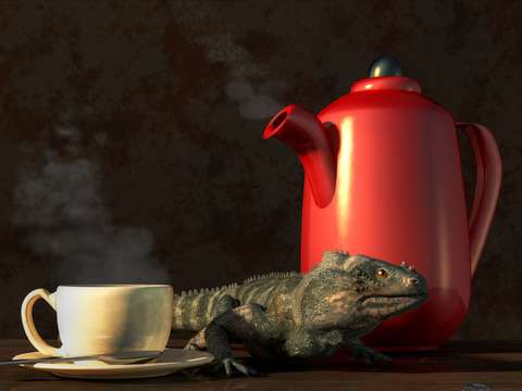 Iguana coffee