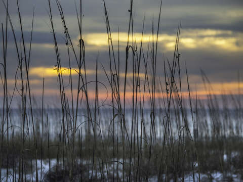 Depth of field sunrise