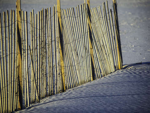 Fenced shadows