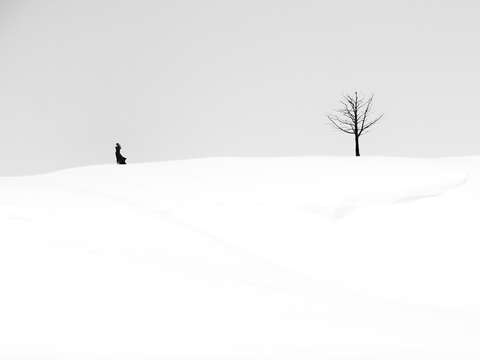 Snowline
