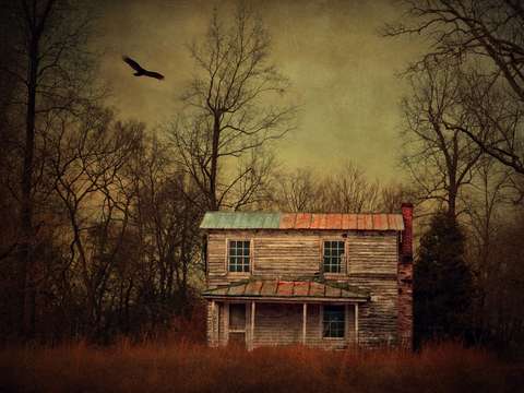 Moody virginia
