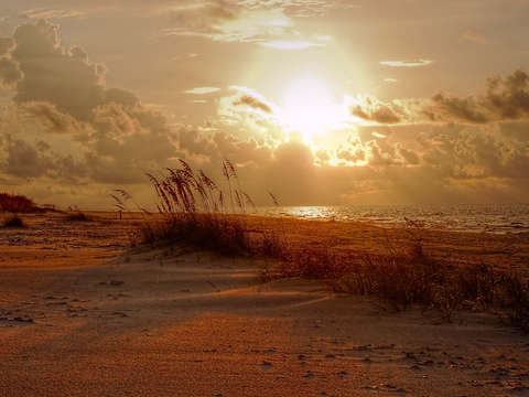 Cloudy sunrise and sea oats on the beach
