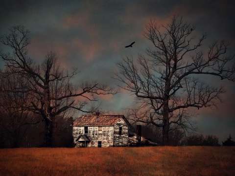 Sunset at the homestead