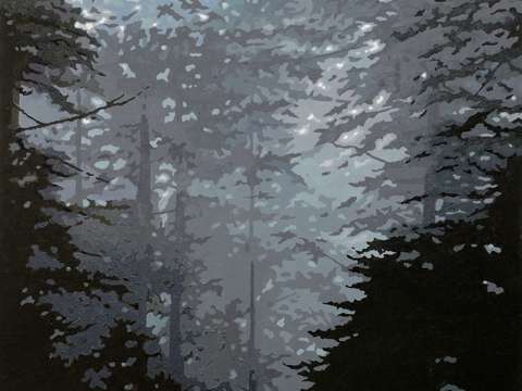 Deep forest