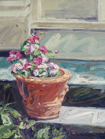 Geraniums