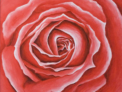 Delicate intricacies