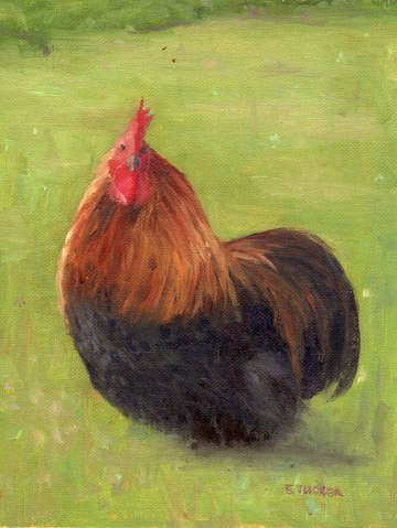 American Game Bird