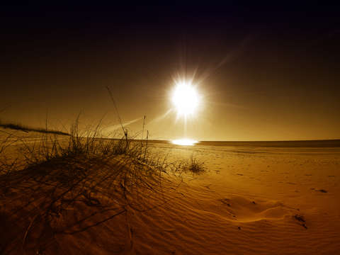 Golden beach patterns
