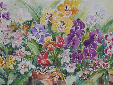 Orchids i