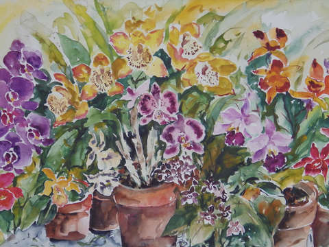 Orchids iii