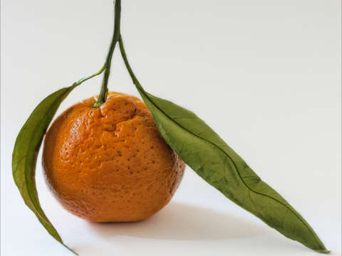 Clementine
