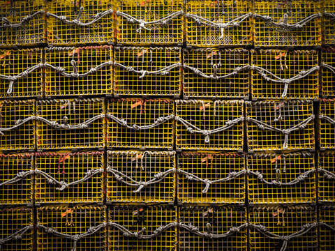Lobster traps
