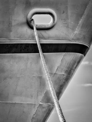 The steamship