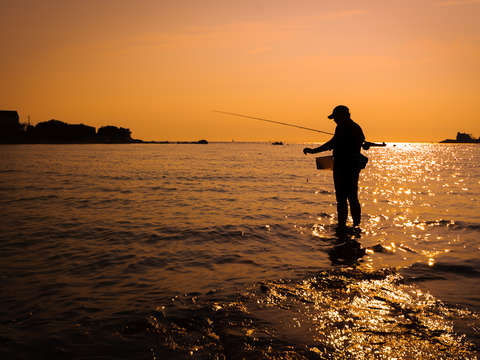 Fishing in the cape