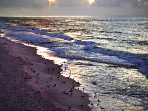 Gathering at the beach