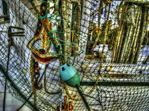 Net and pulley