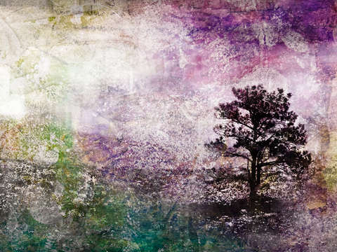 Springs awakening