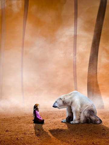 Bear