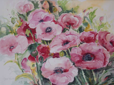 Poppies 2