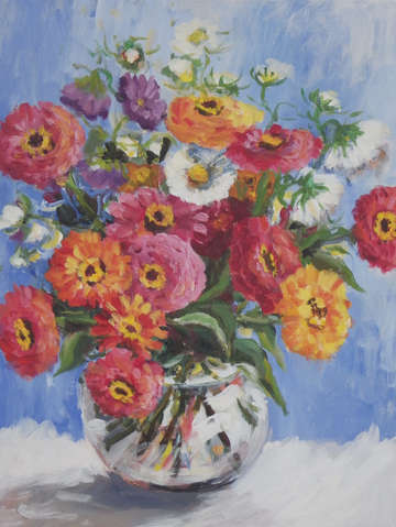 Zinnia variety