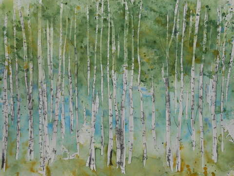 Spring aspen 20