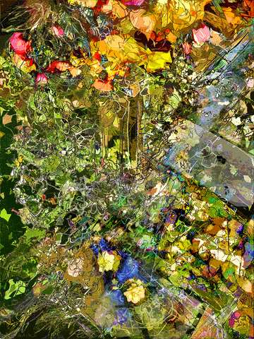 Hanging basket nil falling flowers 6 2