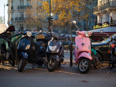 Pinkie in paris