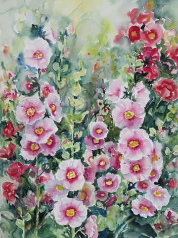 Hollyhocks