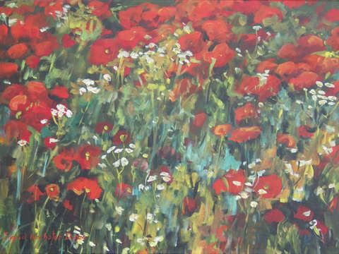 Poppy Field