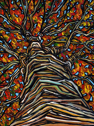 Orange birch