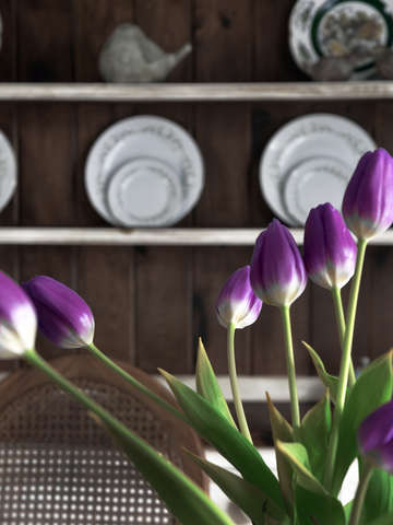 Tulipsplates