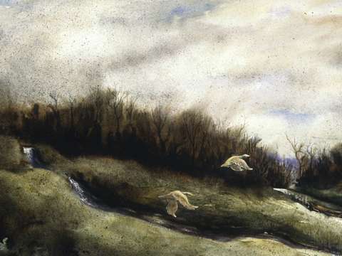 Crossings