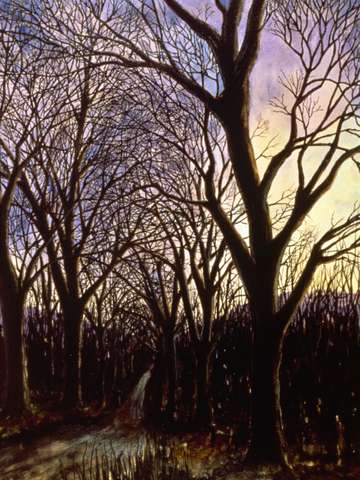 Dark Branches