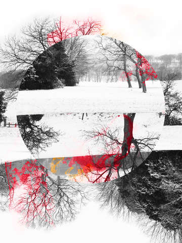 Somber winter