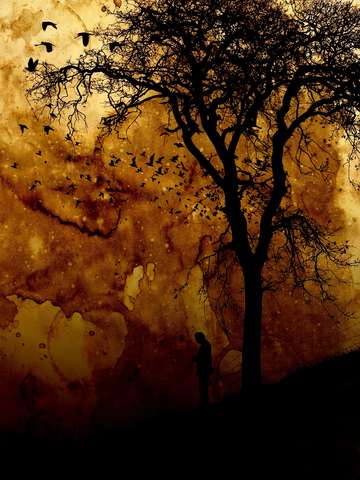 Walking Through Hell