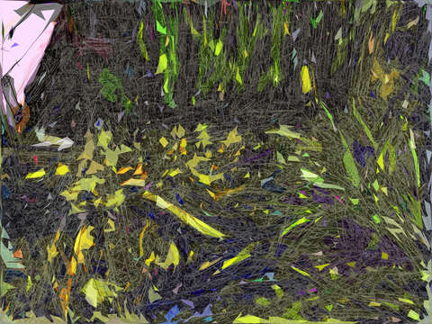 Pond with walkway 2