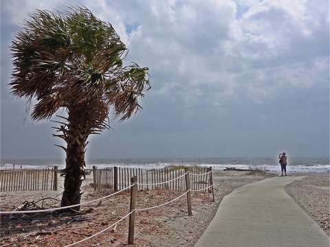 Sea breeze