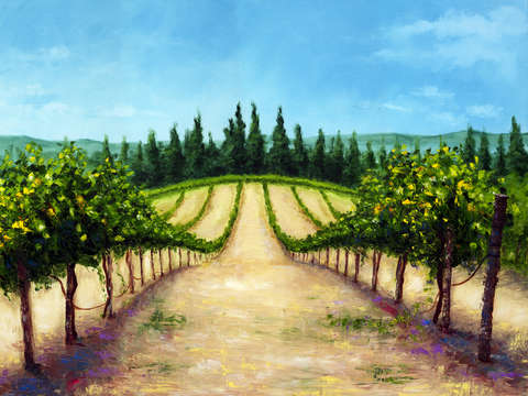 Vineyards
