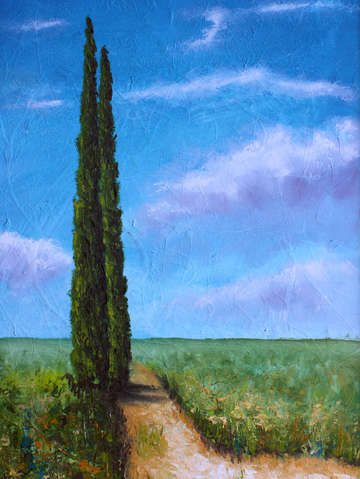 Italian cypresses
