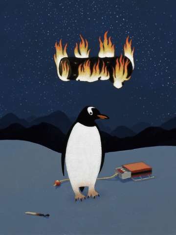 Penguin dreams fire