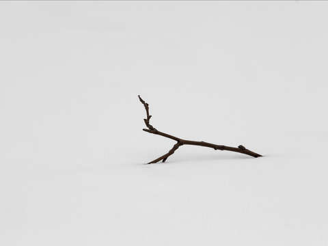 Quietude 2