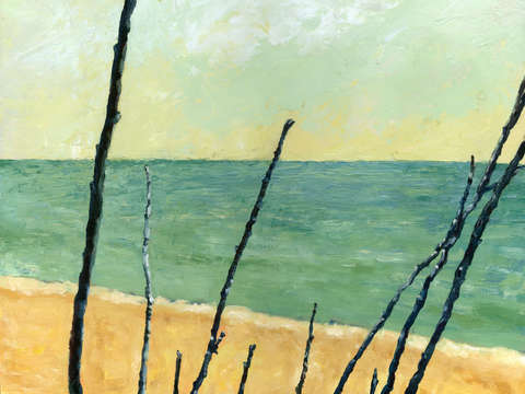 Branches on the beach