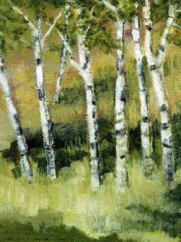 Birches 2