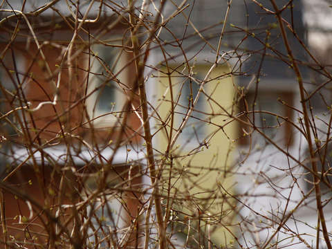 House of strangers