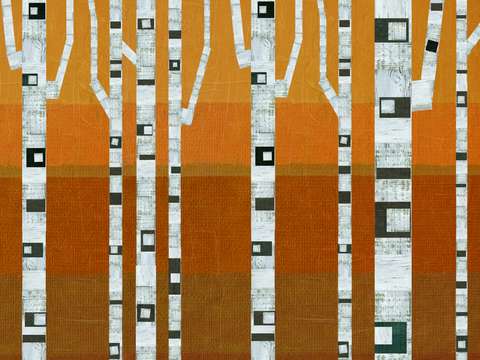 Warm summer birches