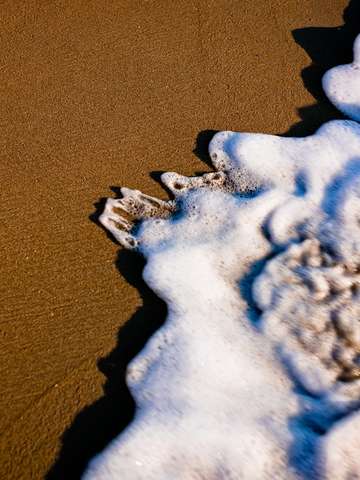 Shoreline
