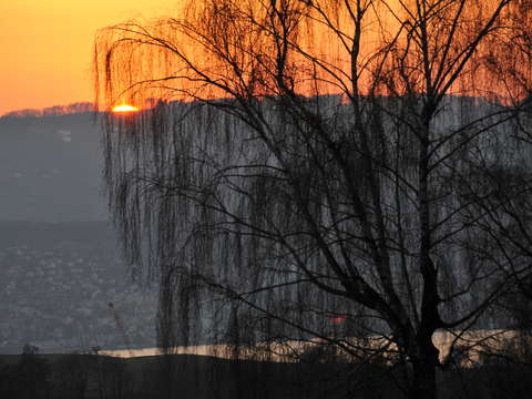 Sunset in zurich